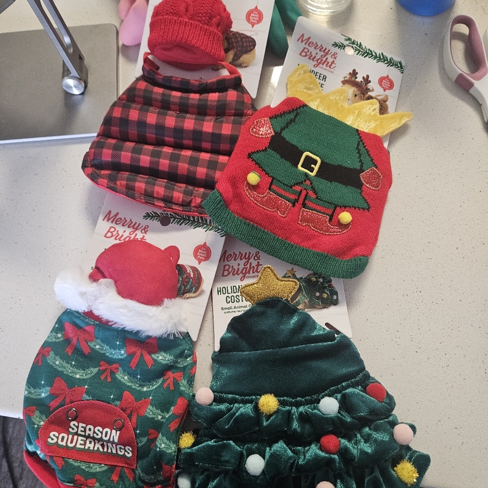 4 Merry & Bright Guinea Pig Hamster Holiday Christmas Novelty Sweater costumes